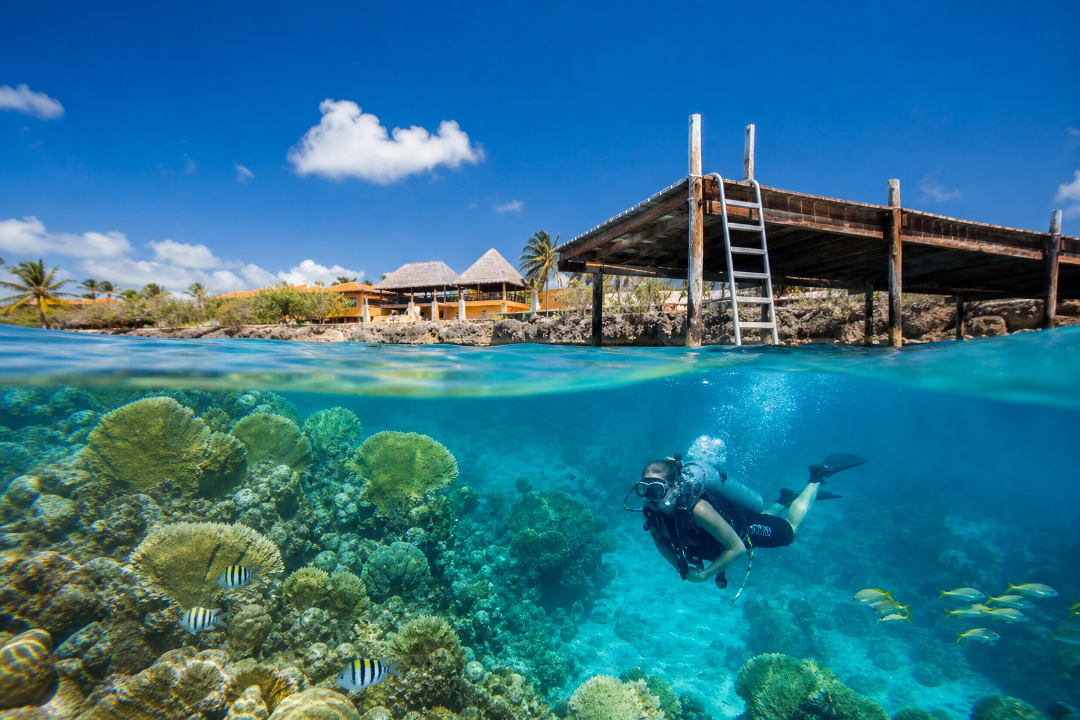 Scuba diver over a Caribbean reef