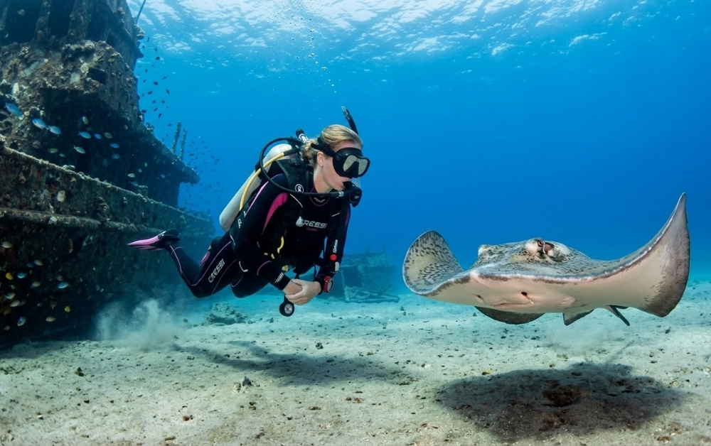 Stingrays diving Tenerife Los Chuchos